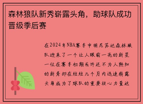 森林狼队新秀崭露头角，助球队成功晋级季后赛